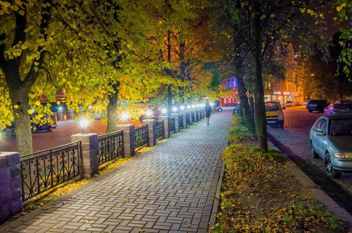 Ночь, улица, фонари, девушка.. - Павел Кухоренко