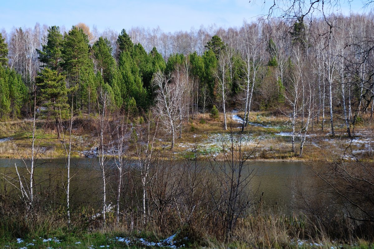 Поздняя осень. - Андрей В.