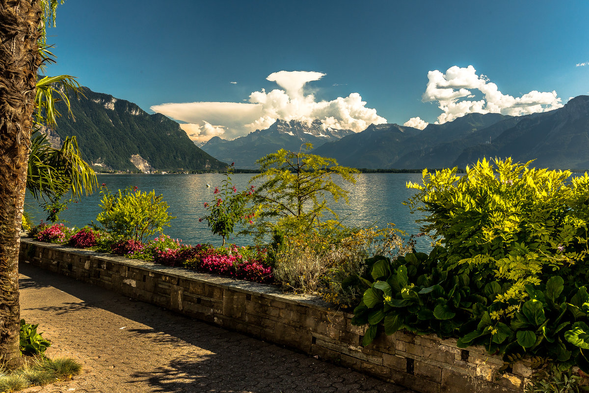 The Alps 2014 Switzerland Montreux 5 - Arturs Ancans