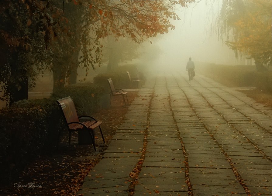 Погружаясь в туман - Сергей Буйна
