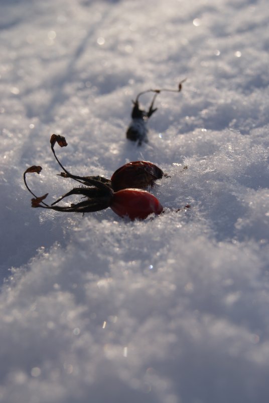 Ягоды на снегу - Мария Кузнецова
