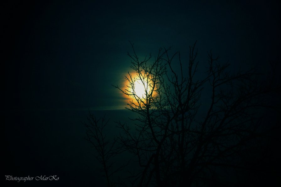 This winter&#39;s night - Photographer MarKo