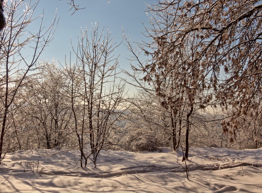 Мороз и солнце - Игорь Мукалов