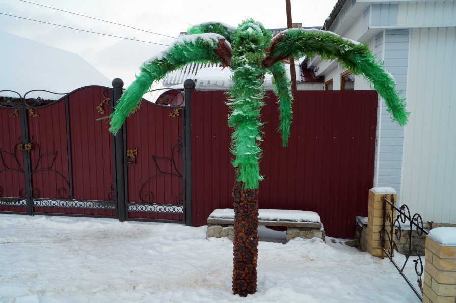 пальма под снегом - ольга кривашеева