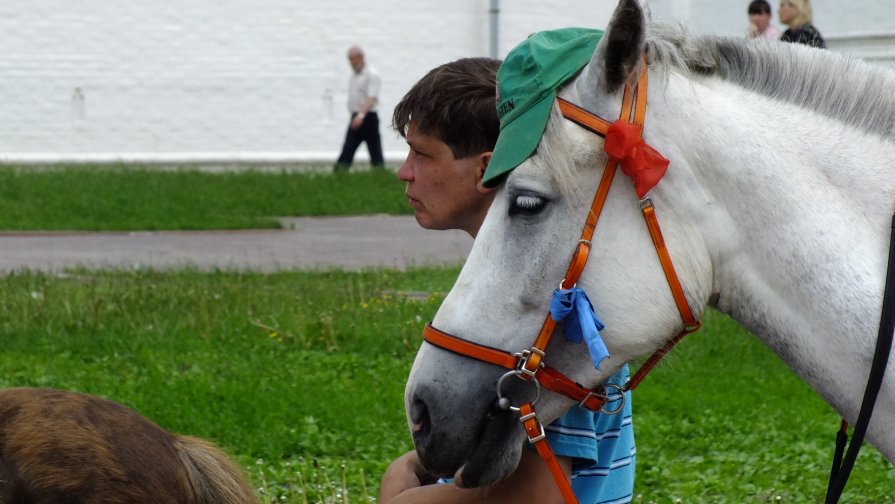 Человек и лошадь - Владимир Владимир