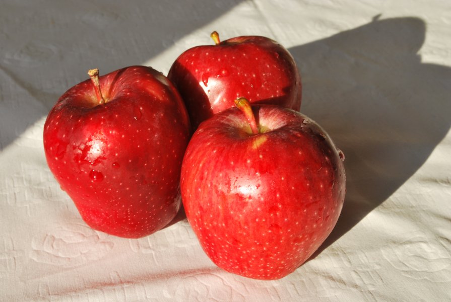Яблоки на столе - Elena Balatskaya