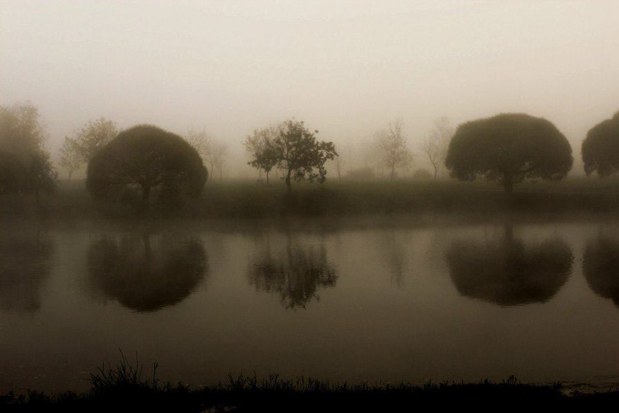 Парк в тумане - Eugenia Jaffa