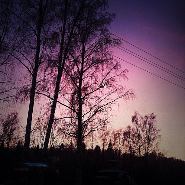Фиолетовое небо - Kseniya Umnova
