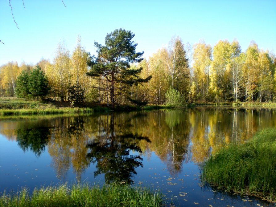 Лесное озеро - Юрий Павлович