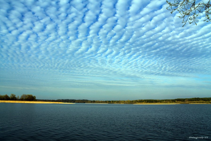 Водная гладь - Виктор Желенговский