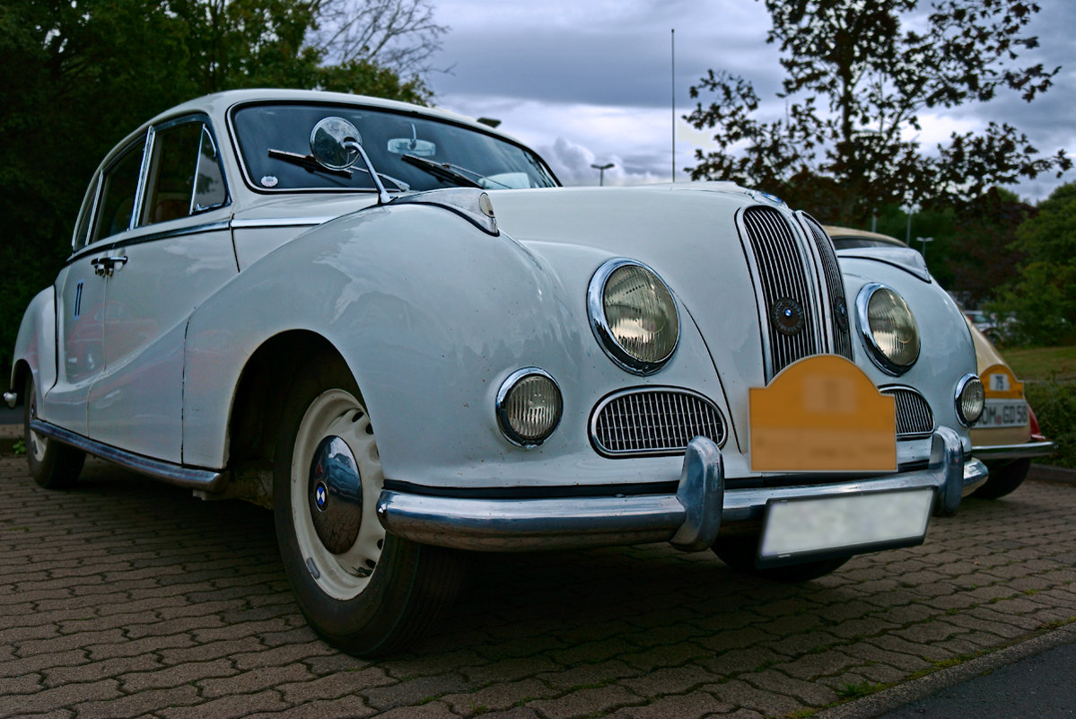 BMW 501 (1952) - Andrej Winner