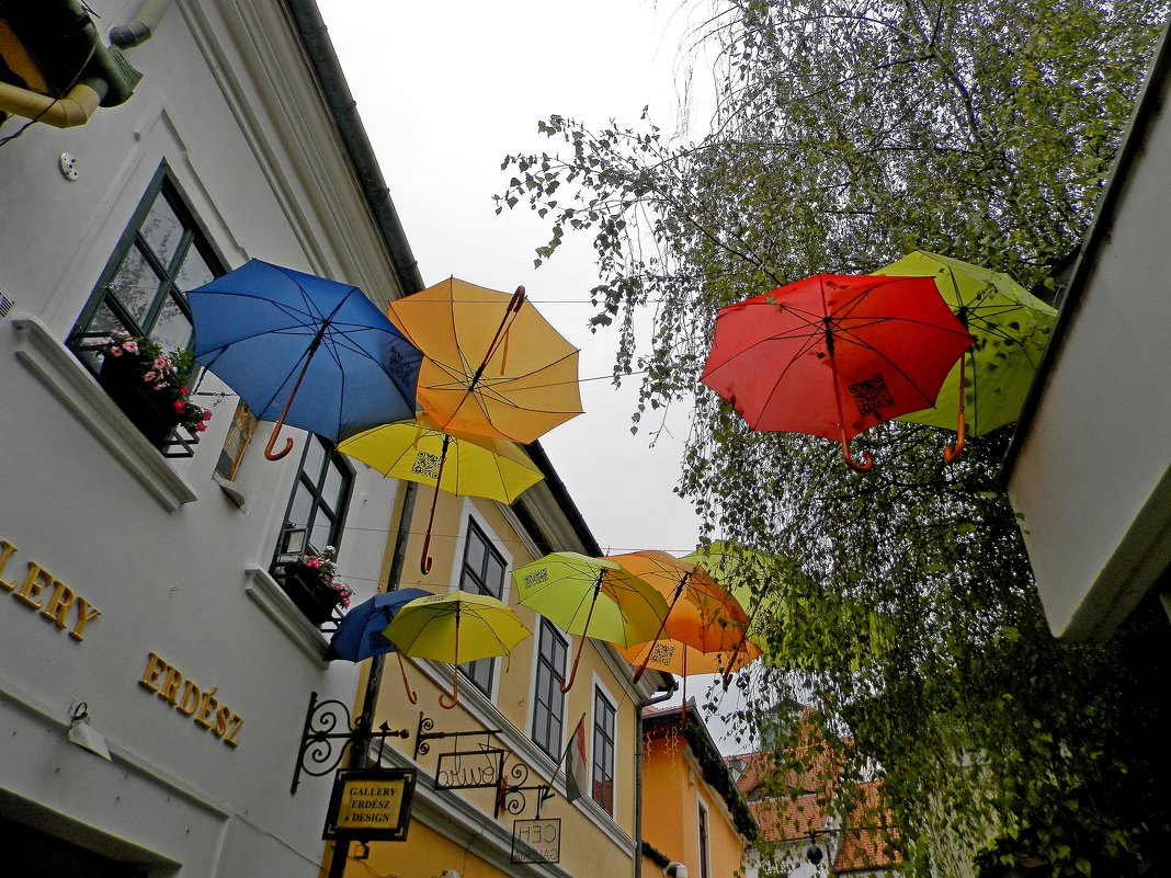 Зонтики в Сентендре - Лара Dor
