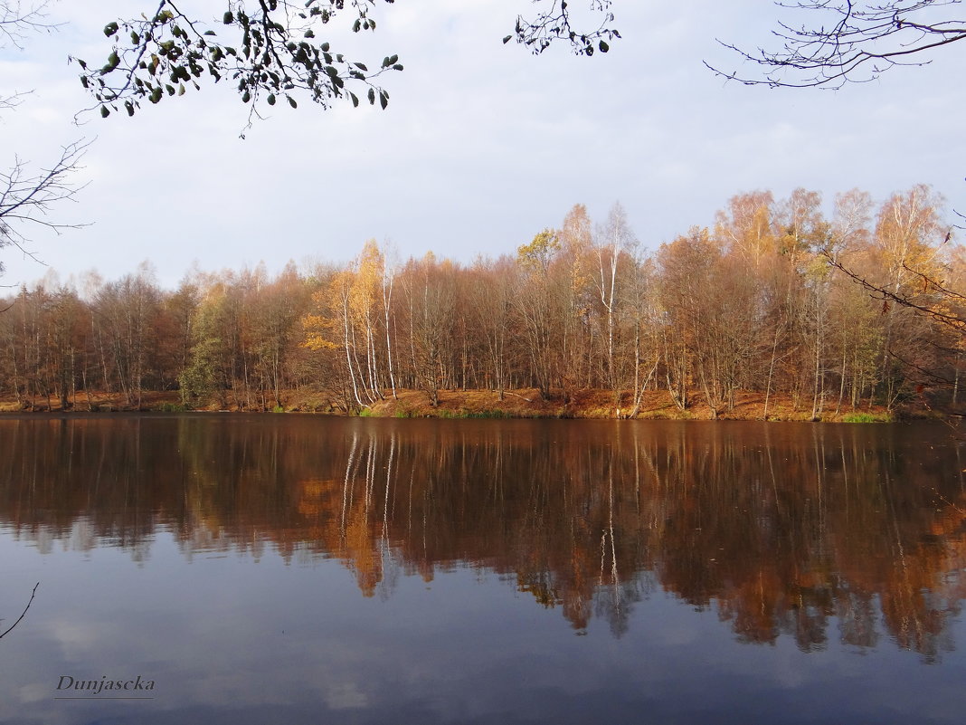 Золотая осень. - Антонина Гугаева