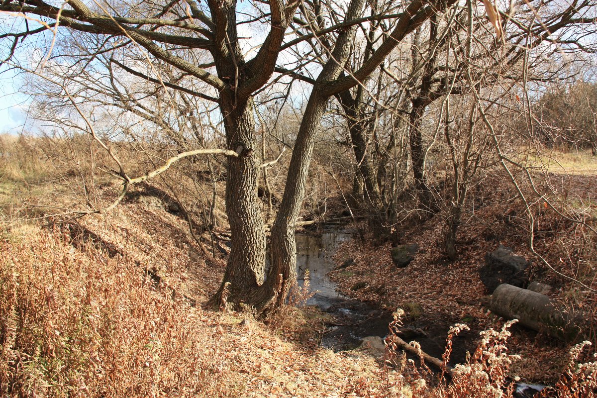 Осень, Климовск - Владимир Холодницкий