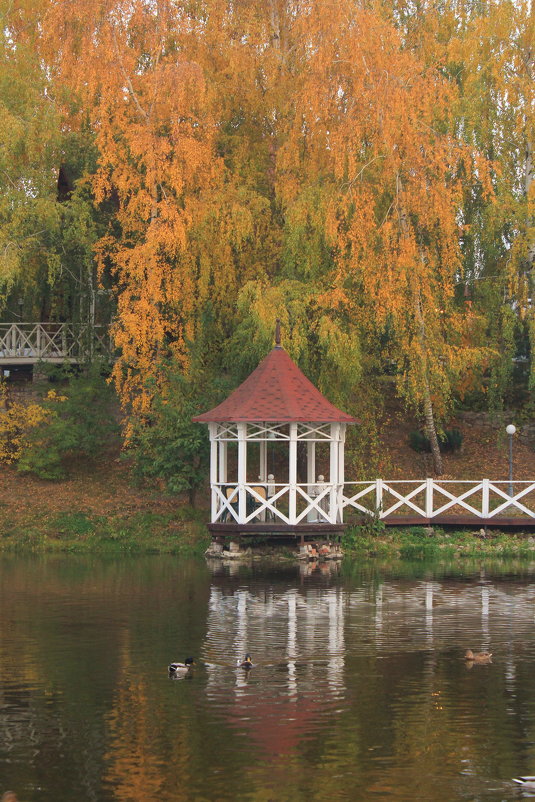 Осень в городе - Ирина 