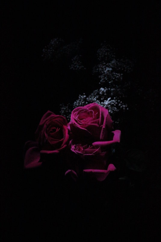 Birthday Roses - Наталия Есина