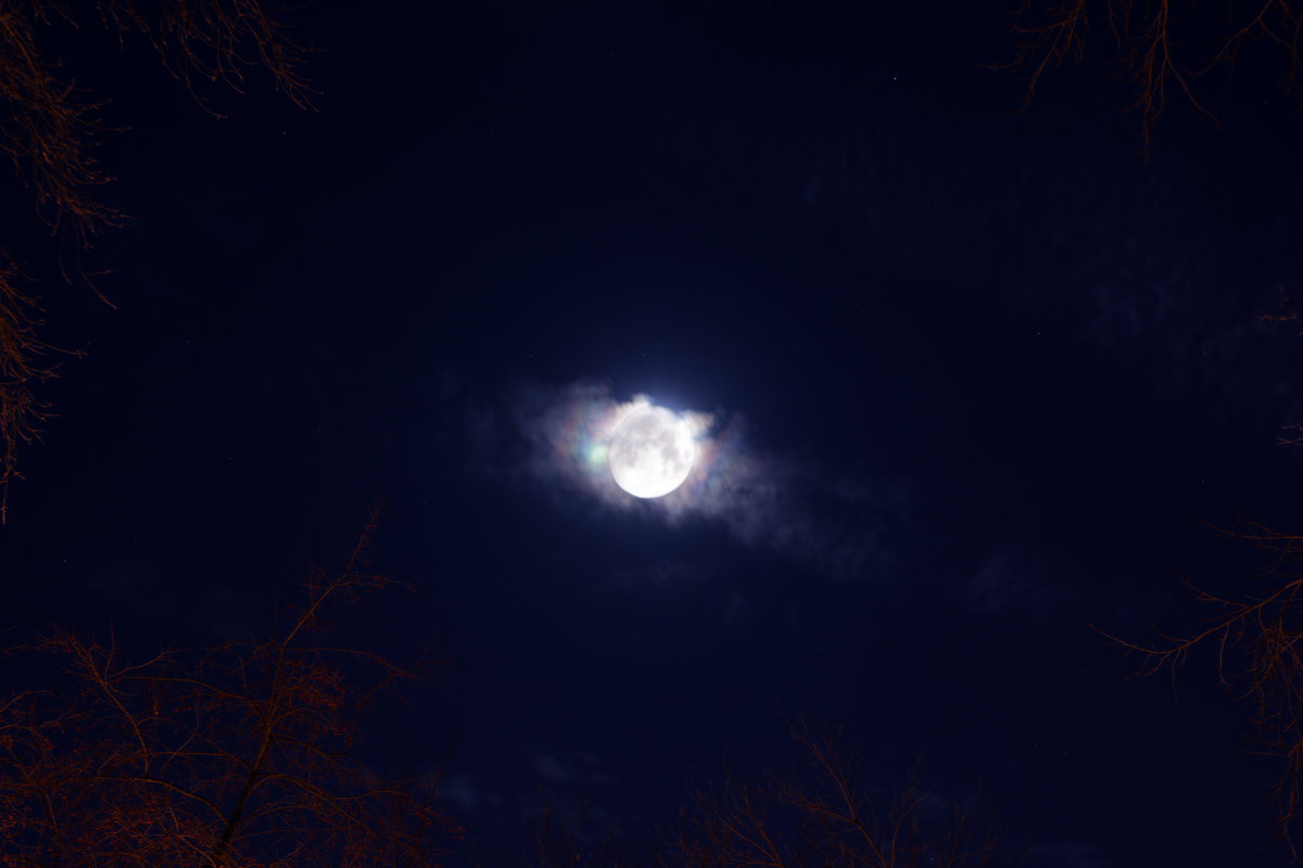 луна в ноябрьскую ночь - Евгений 