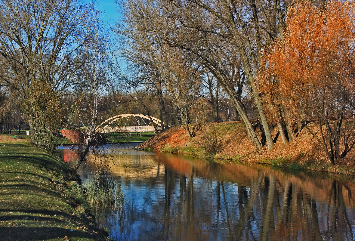 Тёплая осень в Минске - Светлана З