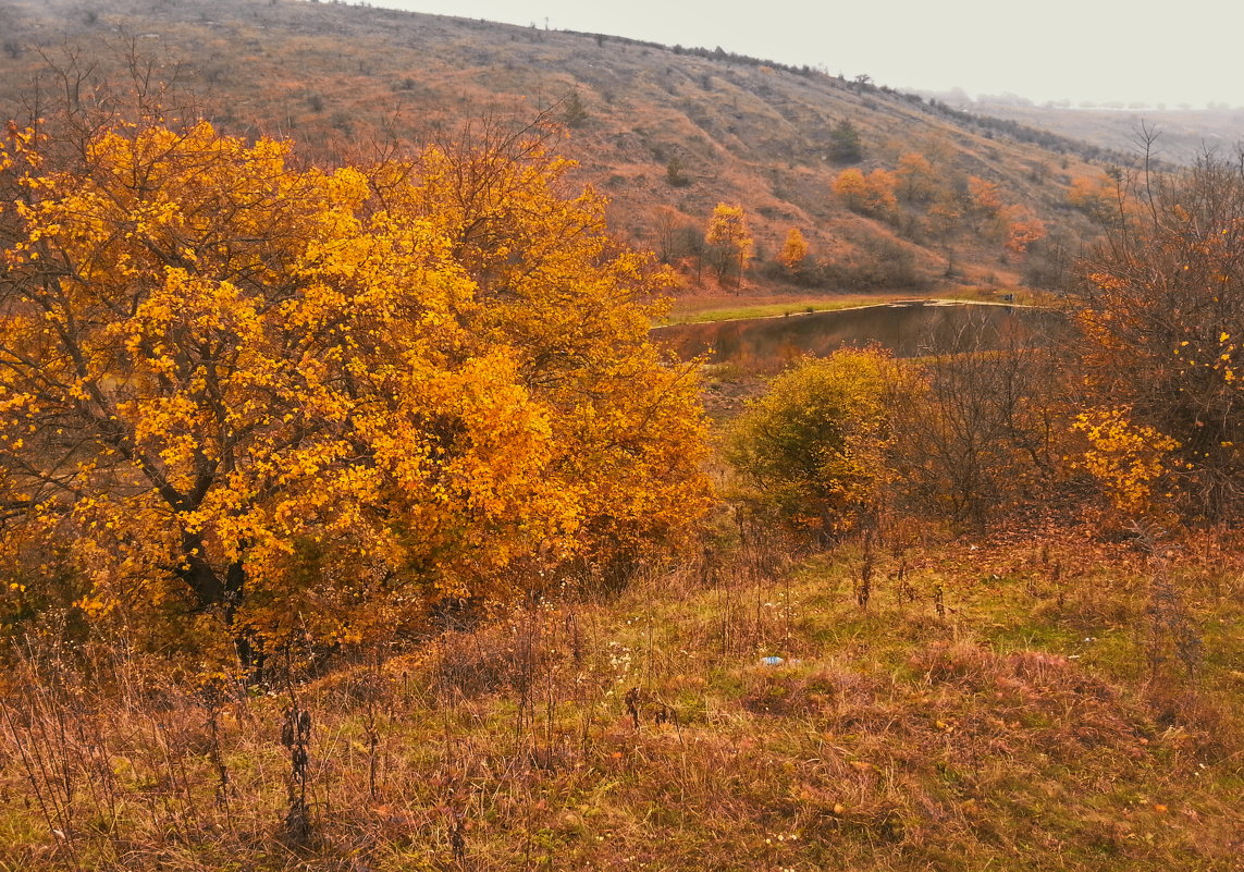 осенние зарисовки - valeriy g_g