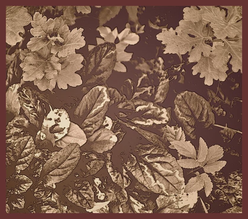 Листья в шоколаде - Григорий Кучушев