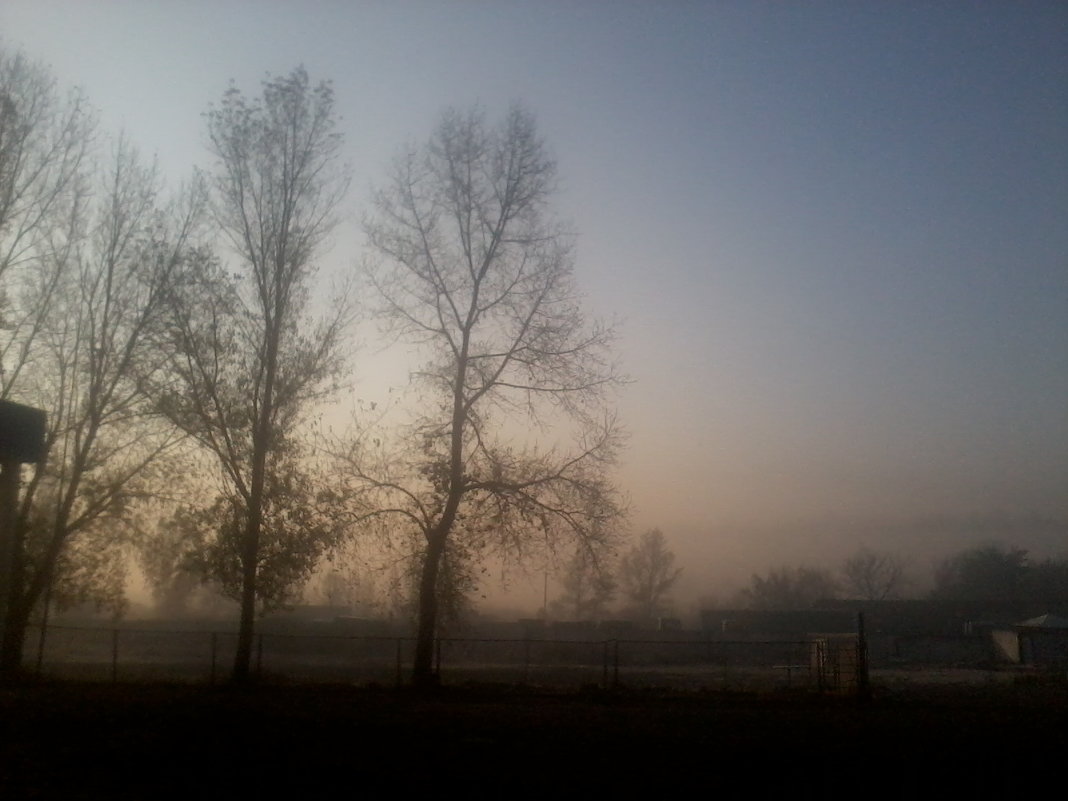 Осенний туман... - Valeriya Voice