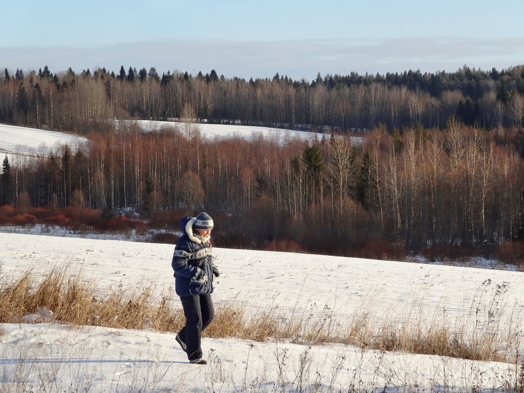 Прогулка в снежных полях - Валерий Талашов