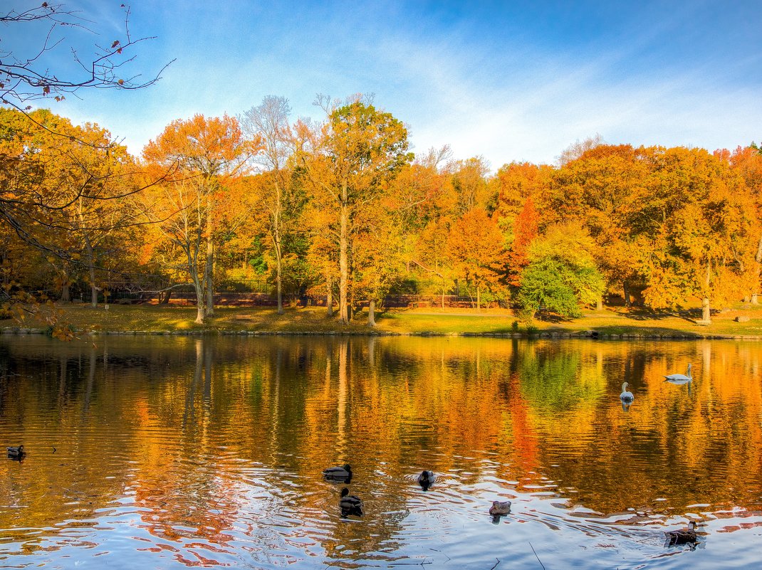 Tibets park, Yonkers, NY - Vadim Raskin