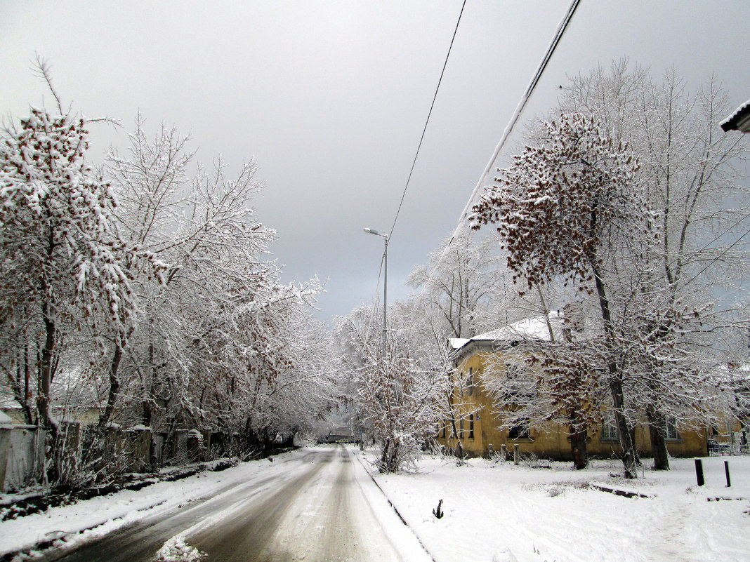 Снег в перспективе - Натали Акшинцева