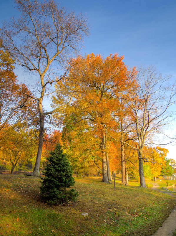 Tibets Park, Yonkers, NY - Vadim Raskin