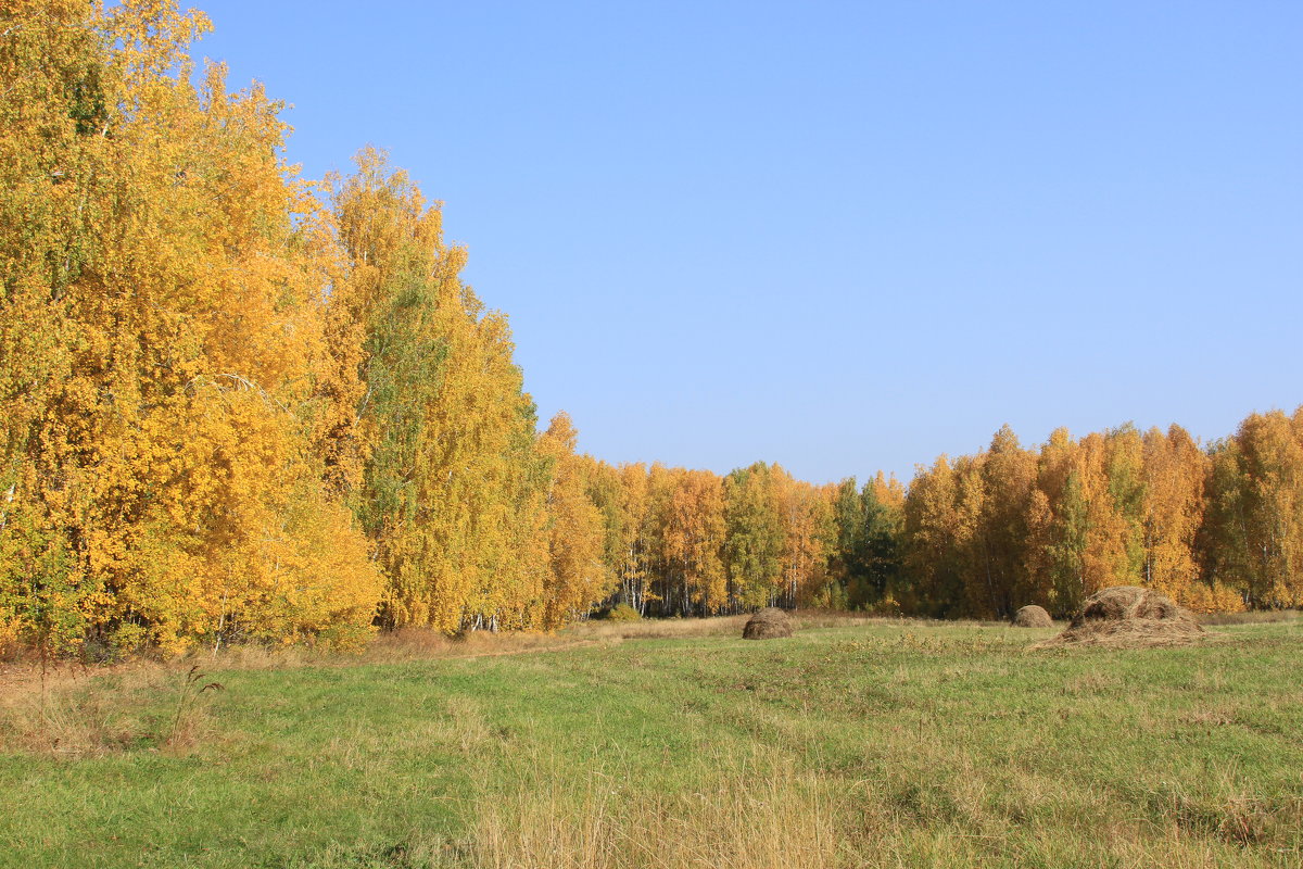 Осень. - Сергей Крылов