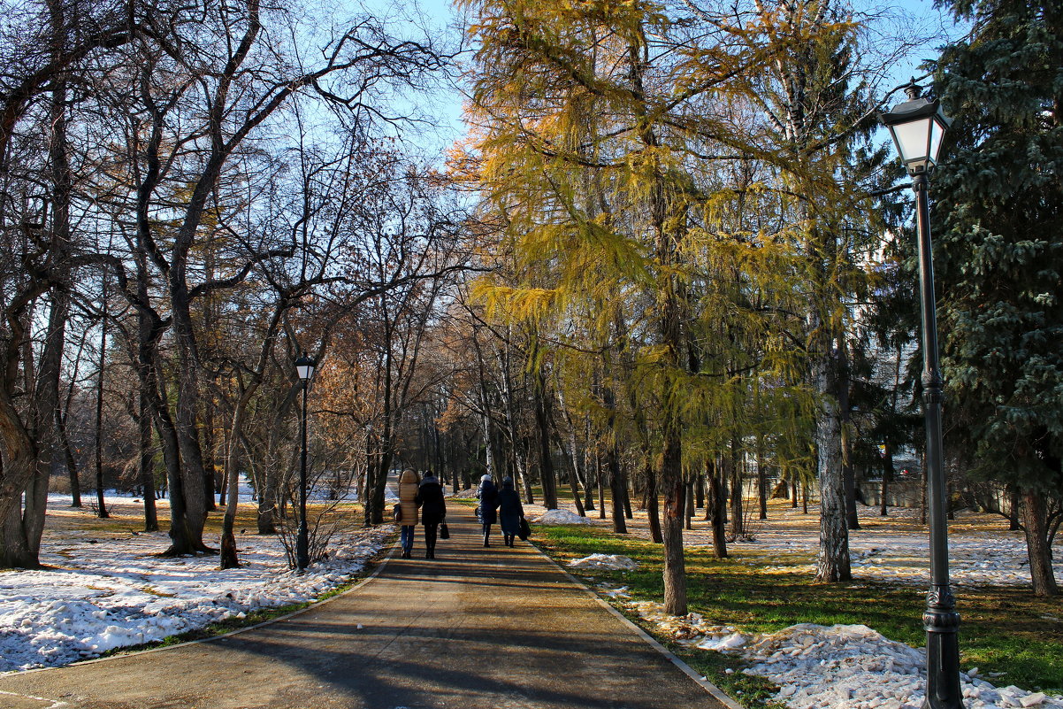 Ясный, солнечный, осенний день. В парке. - Пётр Сесекин