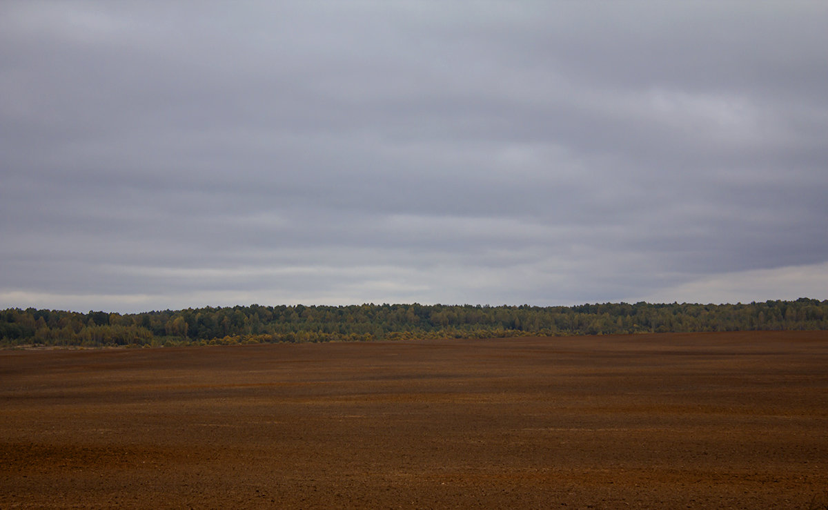 *** - Александр 