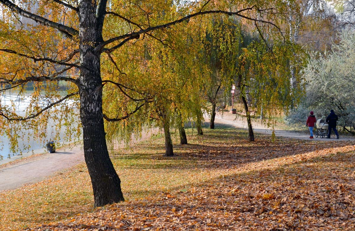 Прогулка в парке - Анатолий Цыганок
