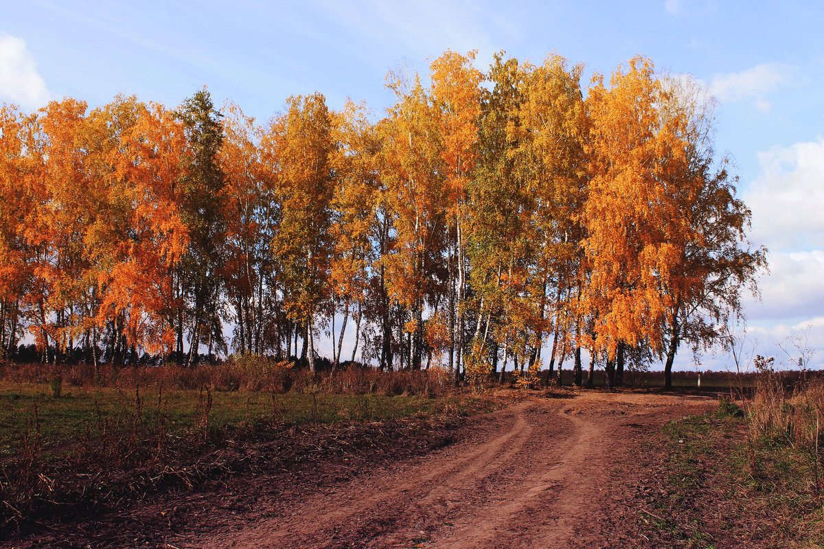 Осенний пейзаж - Александра Старых