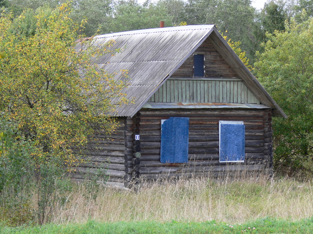 Синеглазый - Нелли Денисова