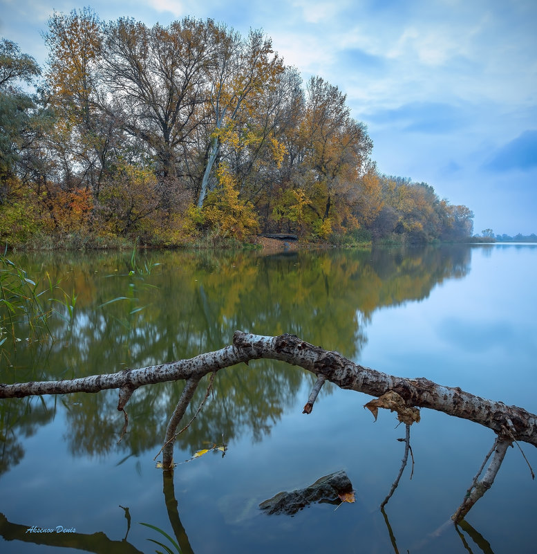 Осенним пасмурным утром - Denis Aksenov