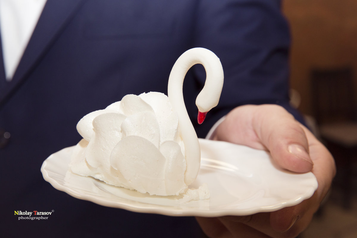 Лебедь со свадебного торта - Николай Тарасов