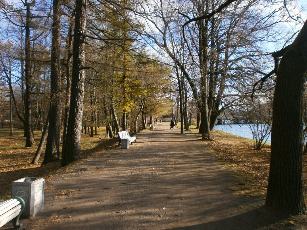 *** - Валентина Жукова