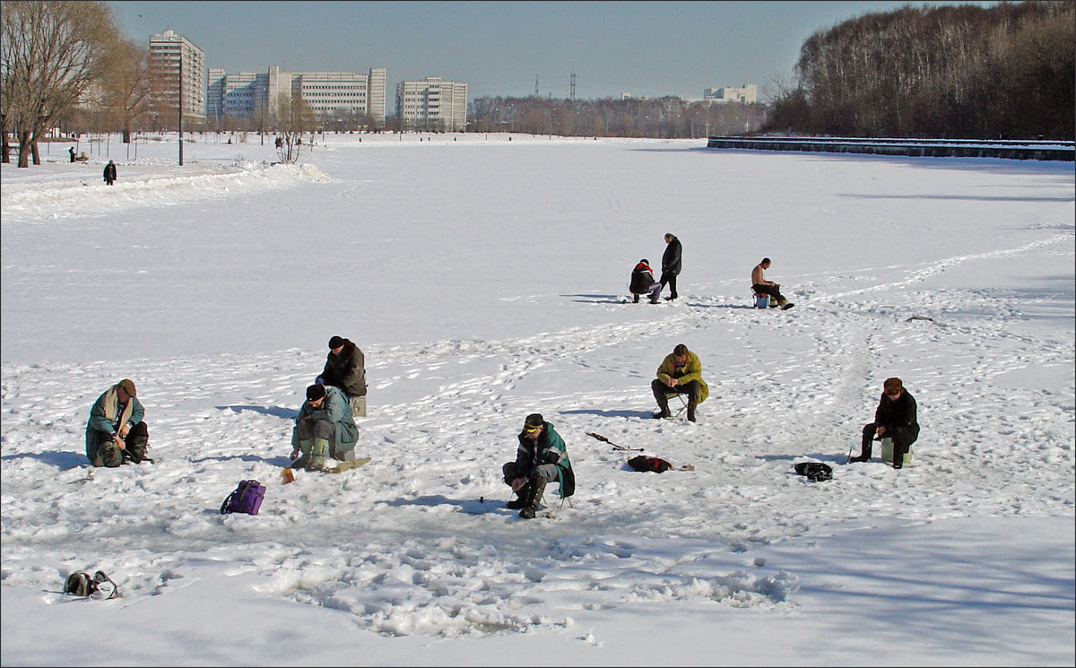 Мороз и солнце. . . - Владимир 