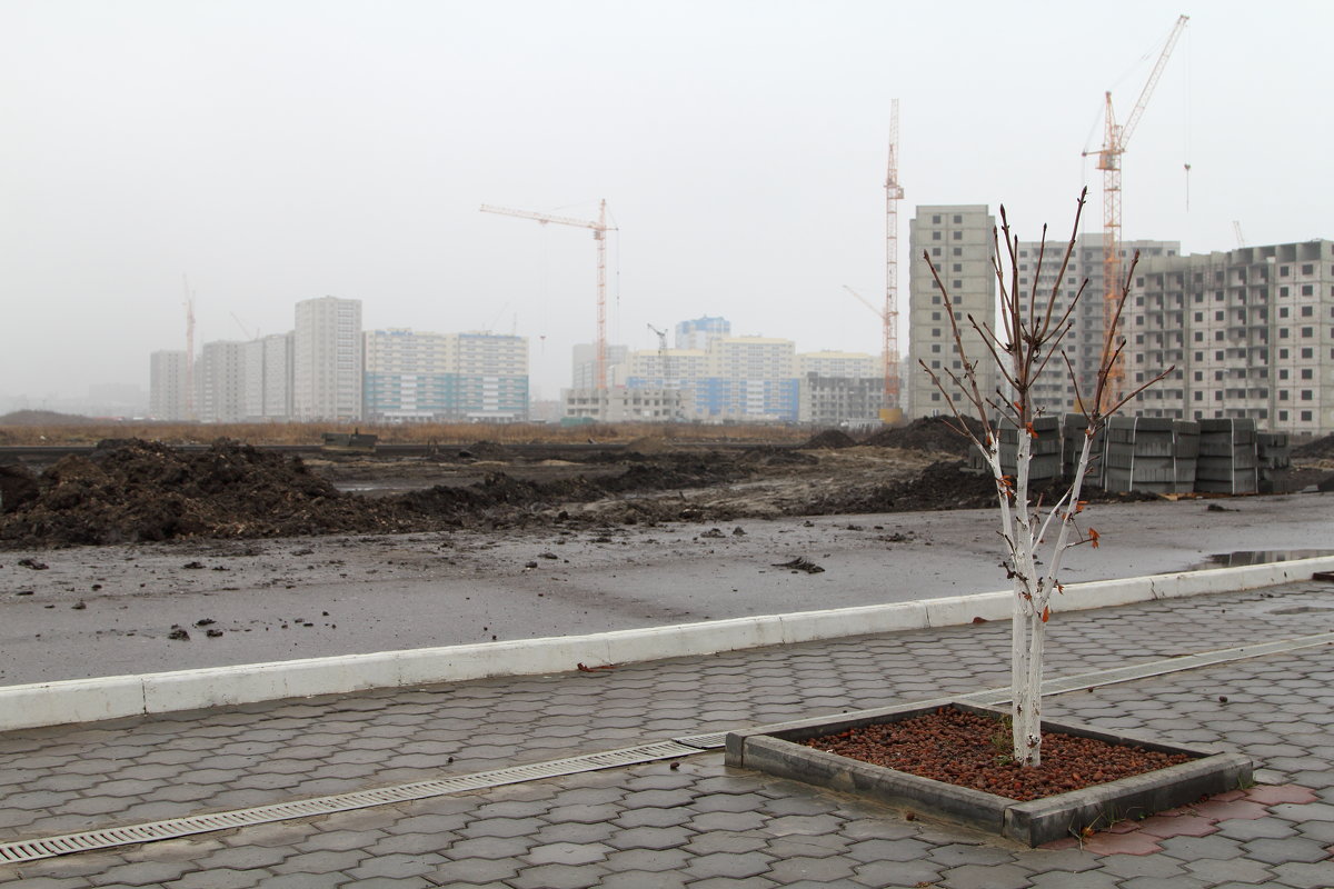 Один в городе - Дмитрий Тулупов