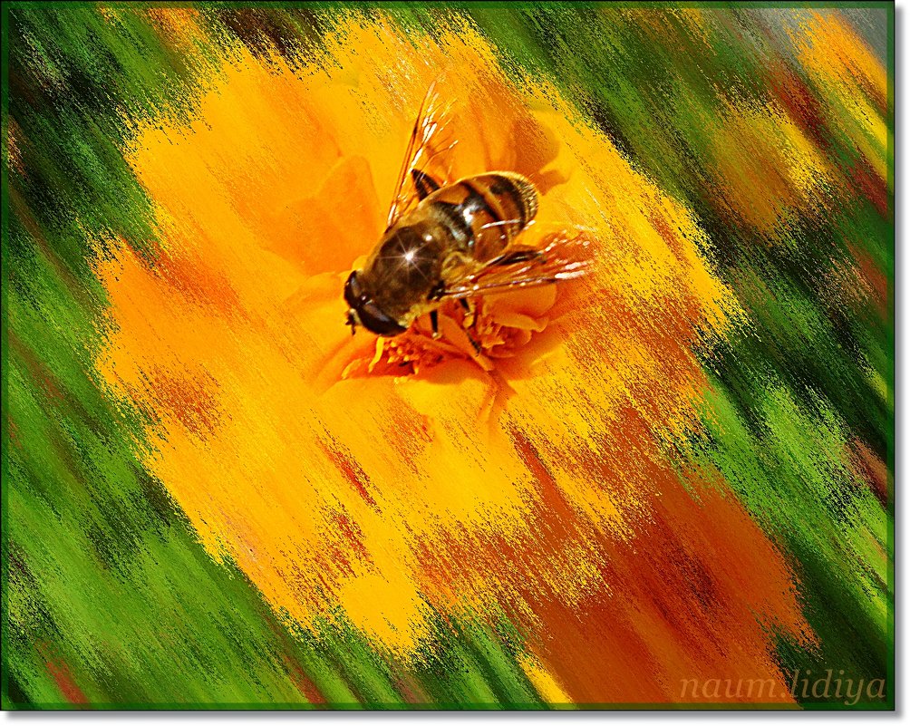 Пчела - Лидия (naum.lidiya)