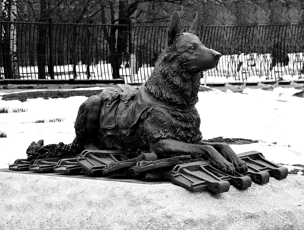 Памятник фронтовой собаке - Владимир Болдырев