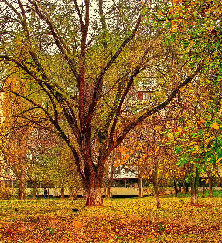 осень в городе - Александр Корчемный