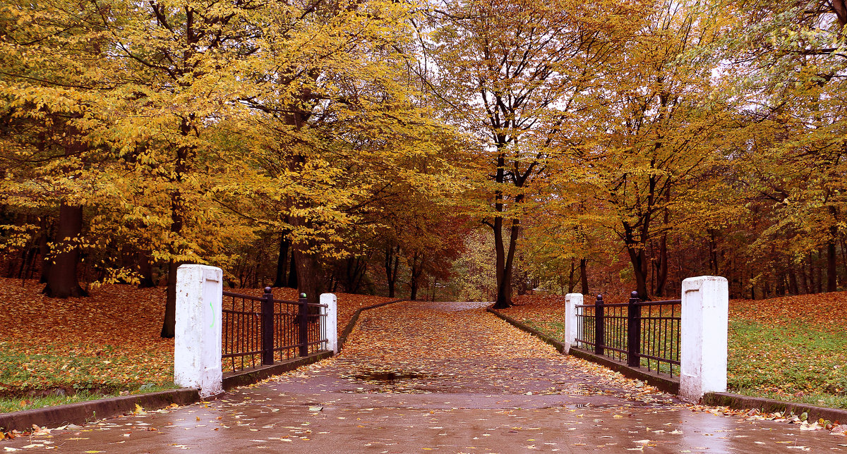 В осеннем парке - Елена Сидорова