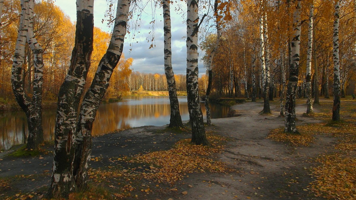 Золотая россыпь - Сергей Кузнецов