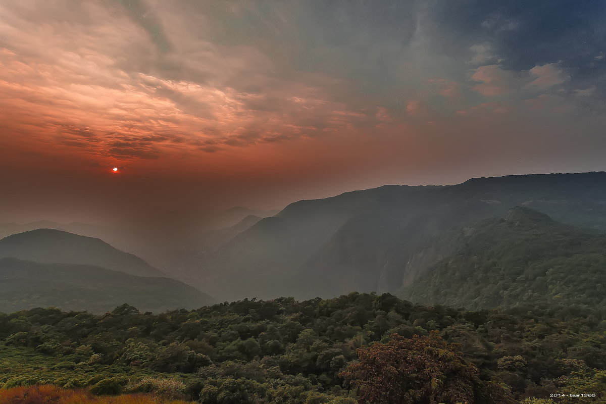 Закат в джунглях западных Гхат...Индия,Гоа... - Александр Вивчарик