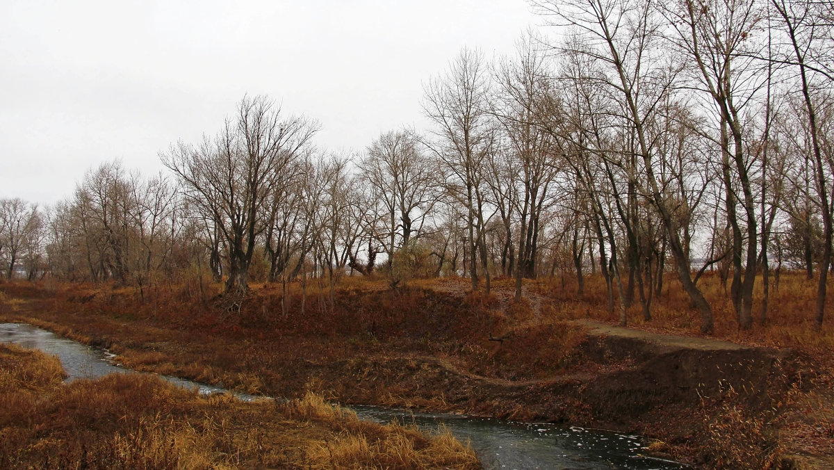 Foggy Novembre - Dr. Olver  ( ОлегЪ )