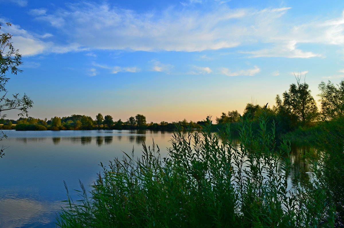 Вечер на озере - Окcана Гетманец