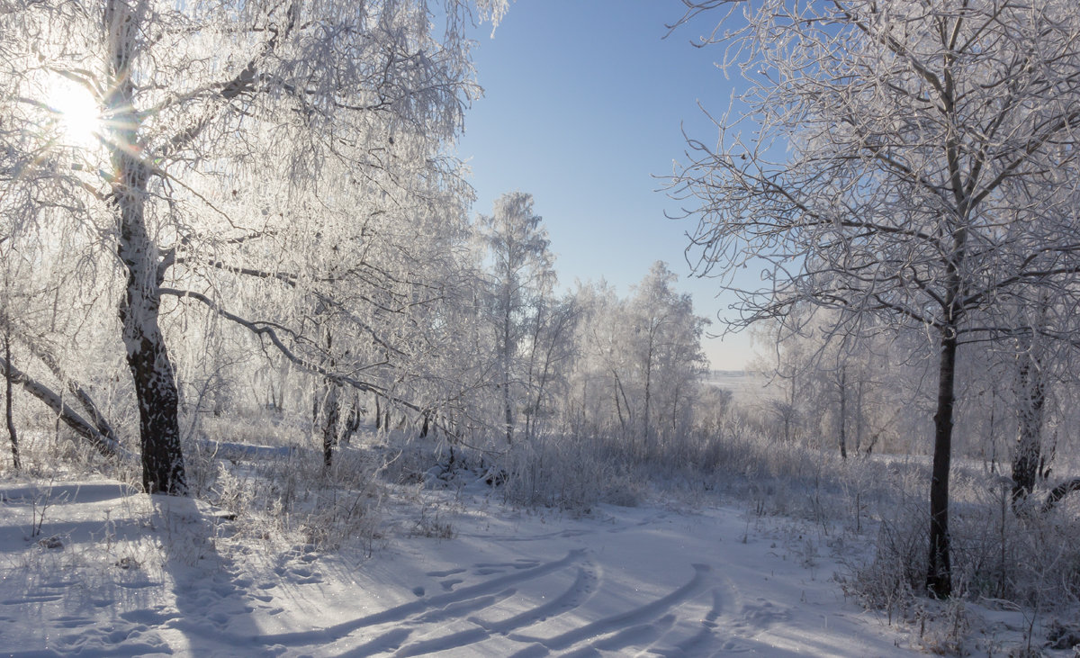 Мороз и солнце... - Kassen Kussulbaev