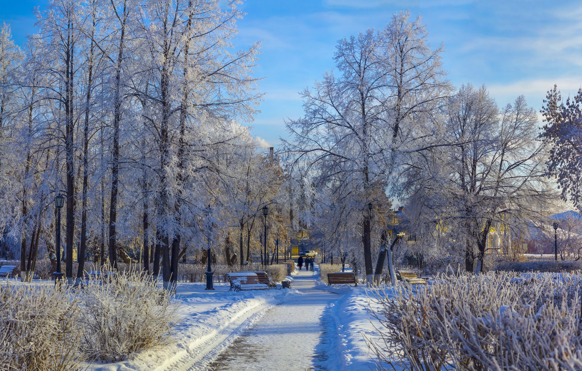 В зимнем парке - Андрей Нагайцев 